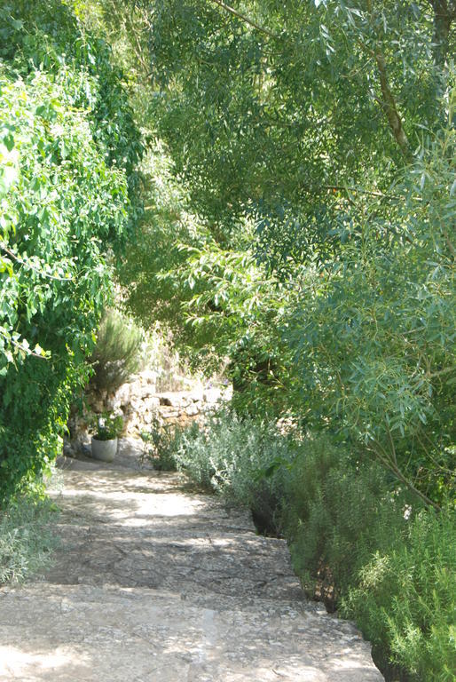 Sintra Center Guest House Escape To Nature المظهر الخارجي الصورة