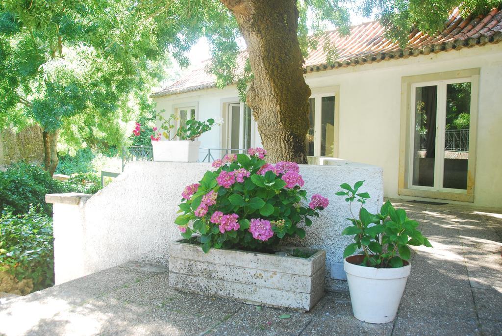 Sintra Center Guest House Escape To Nature المظهر الخارجي الصورة
