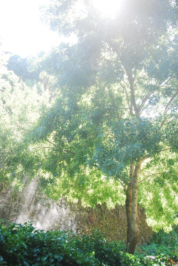 Sintra Center Guest House Escape To Nature المظهر الخارجي الصورة