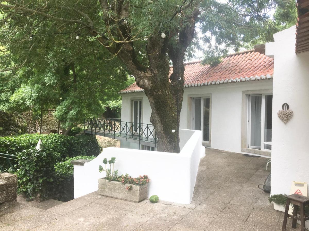 Sintra Center Guest House Escape To Nature المظهر الخارجي الصورة