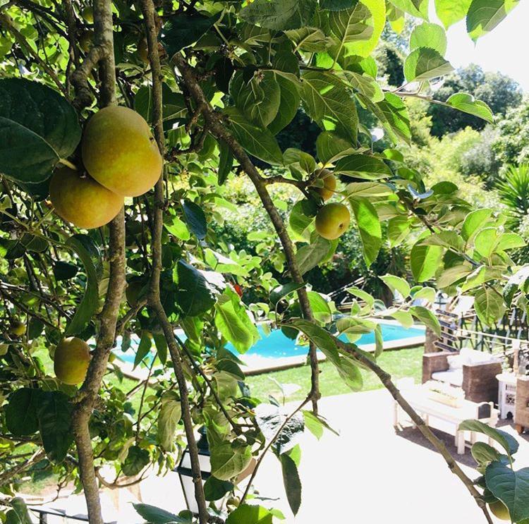 Sintra Center Guest House Escape To Nature المظهر الخارجي الصورة