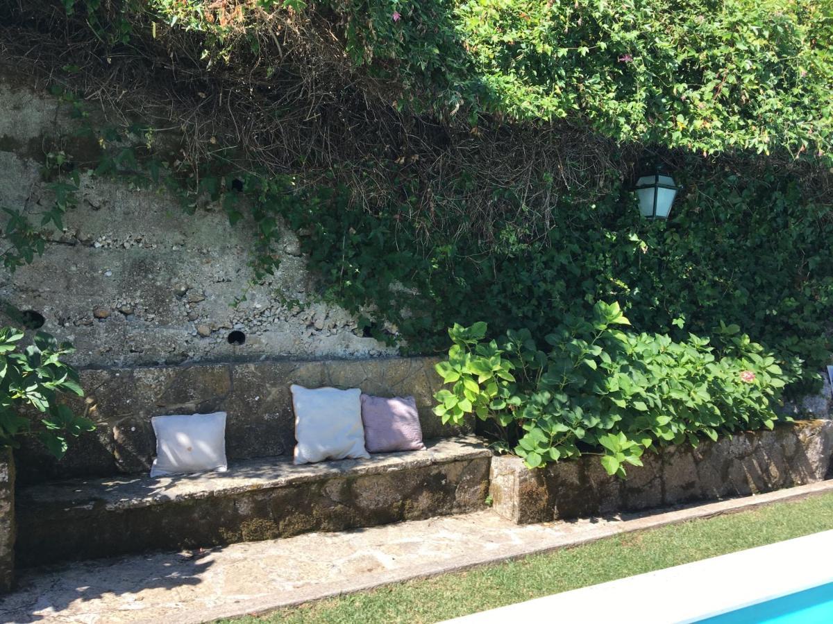Sintra Center Guest House Escape To Nature المظهر الخارجي الصورة