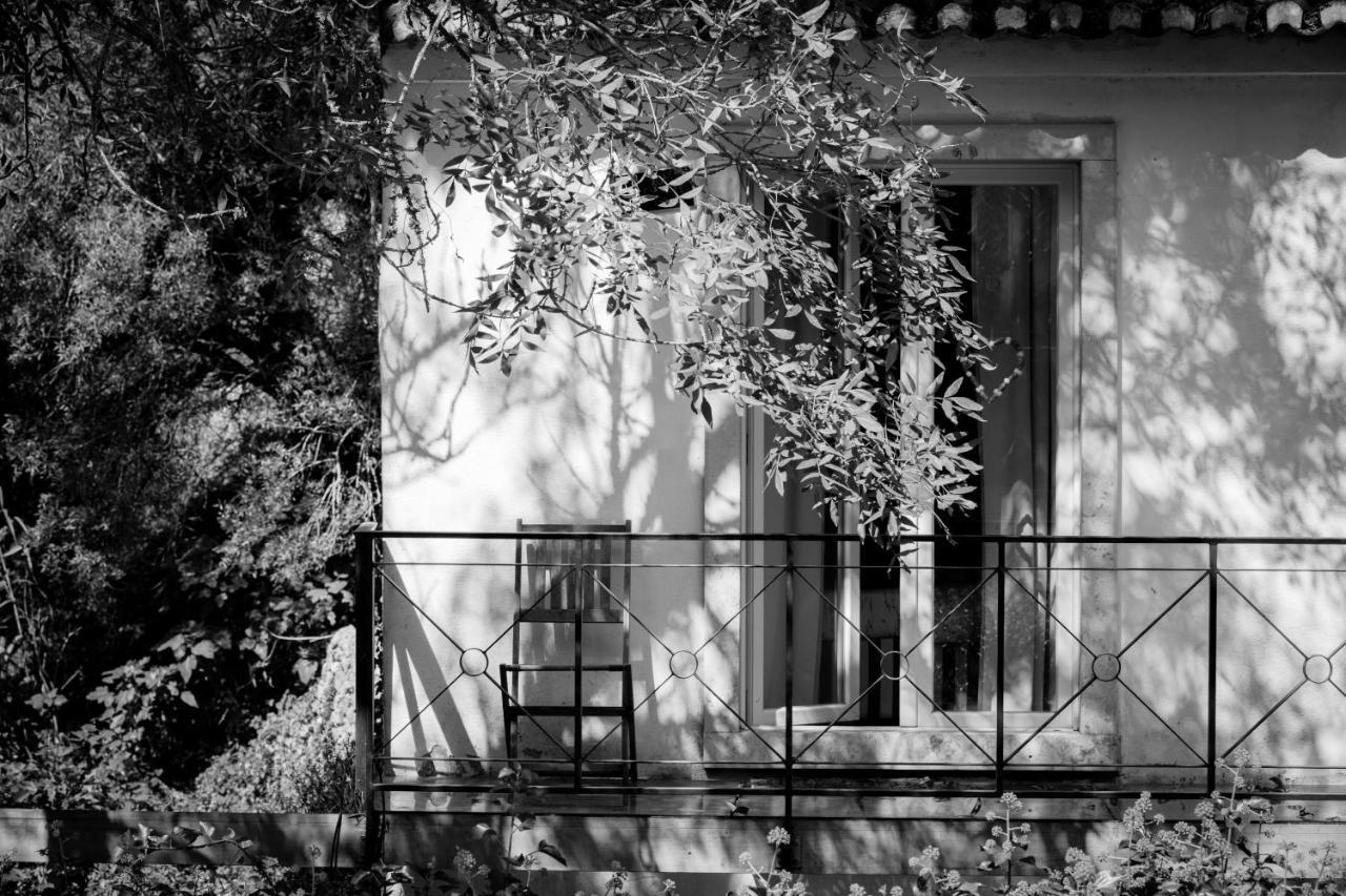 Sintra Center Guest House Escape To Nature المظهر الخارجي الصورة
