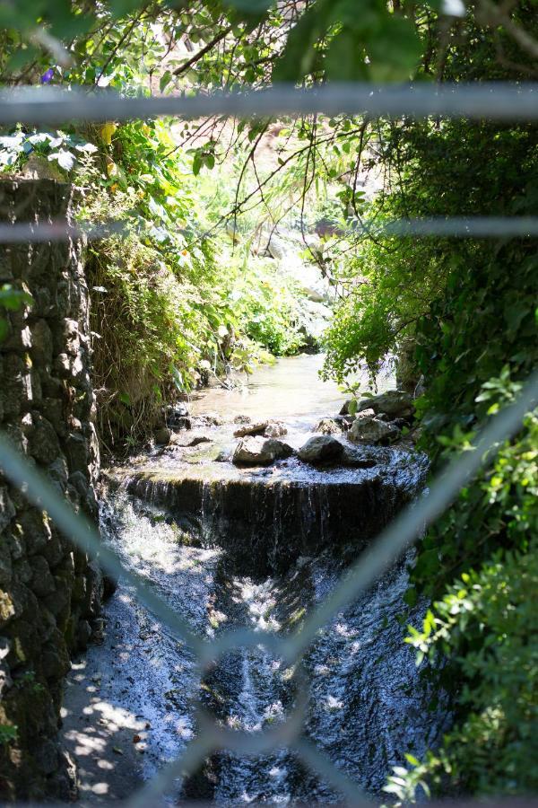 Sintra Center Guest House Escape To Nature المظهر الخارجي الصورة
