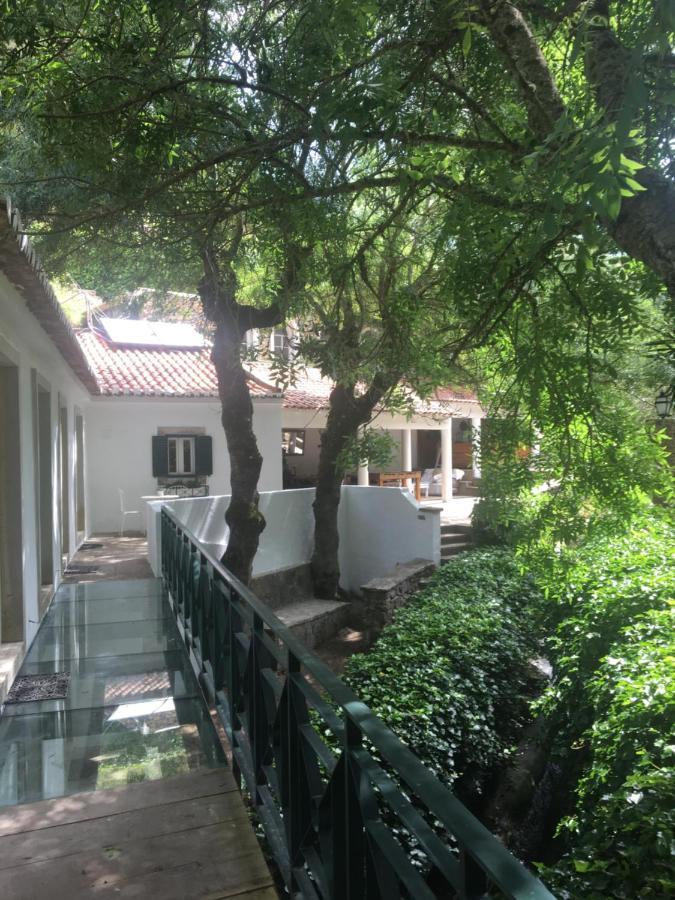 Sintra Center Guest House Escape To Nature المظهر الخارجي الصورة
