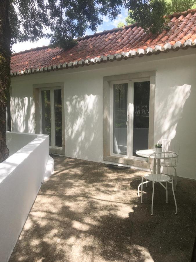 Sintra Center Guest House Escape To Nature المظهر الخارجي الصورة