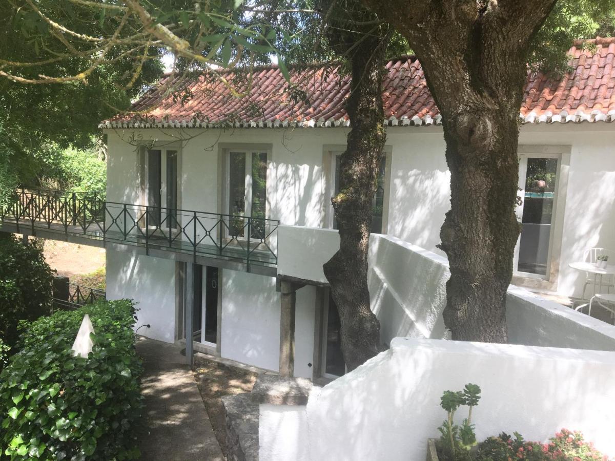 Sintra Center Guest House Escape To Nature المظهر الخارجي الصورة